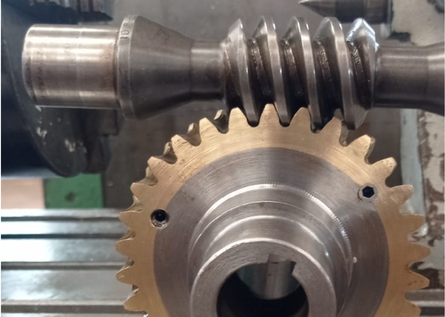 Fabricación de tornillos especiales, tornillos sin fin y coronas